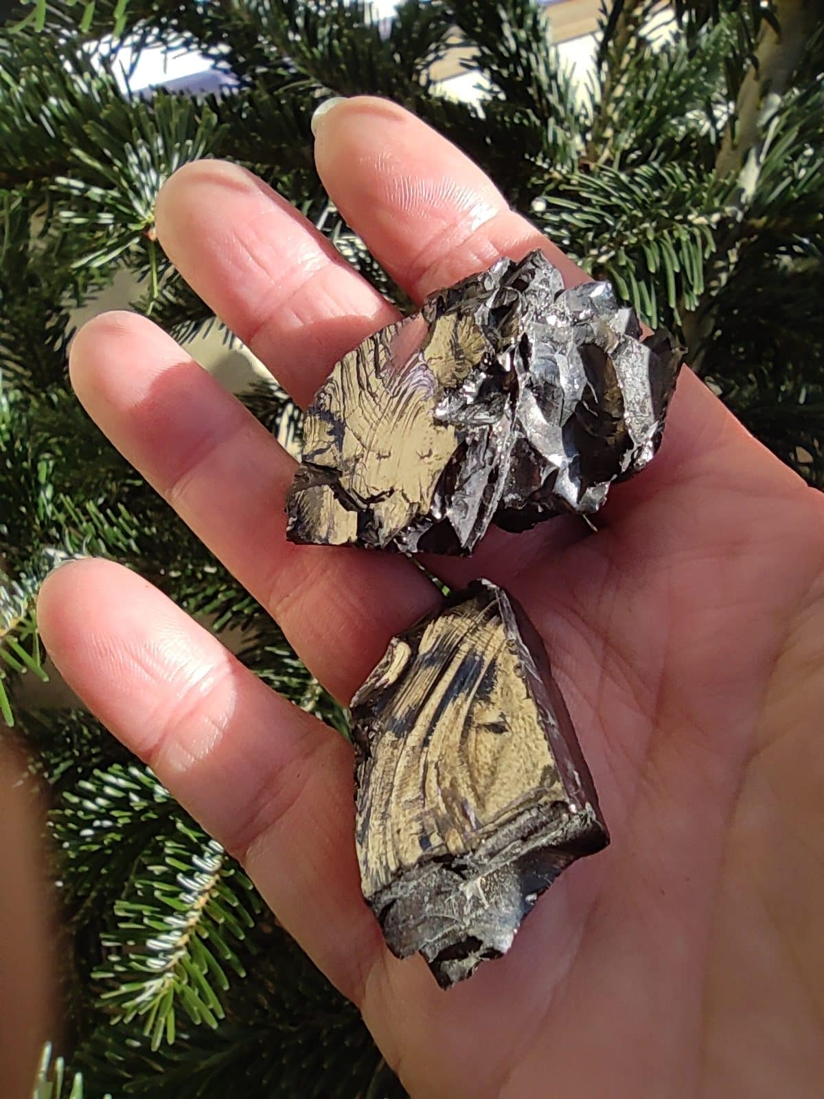 Cristal de shungit crudo Shungit áspera de Rusia Piedra de protección EMF  Piedra curativa Tienda de cristal -  España
